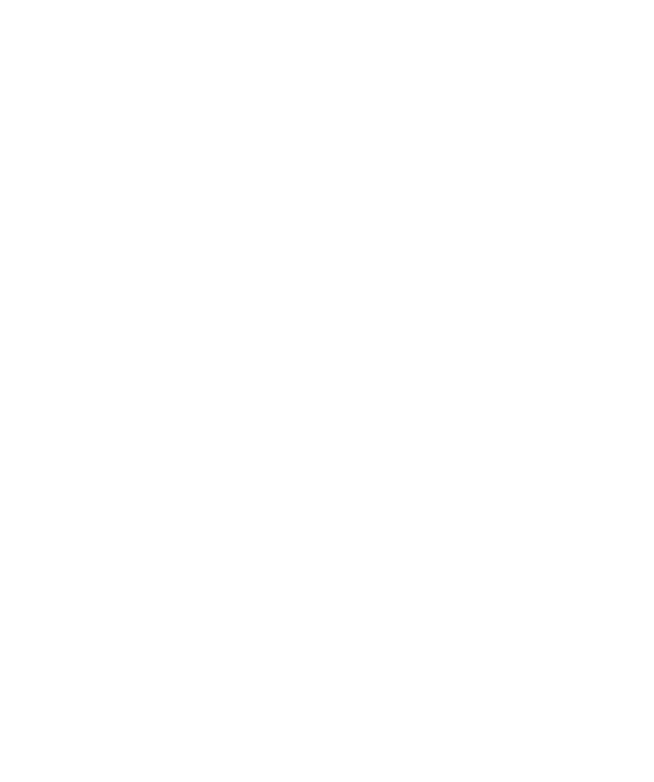 BK Tender